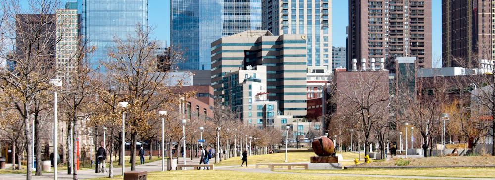 Looking towards downtown Denver from in front of the Library