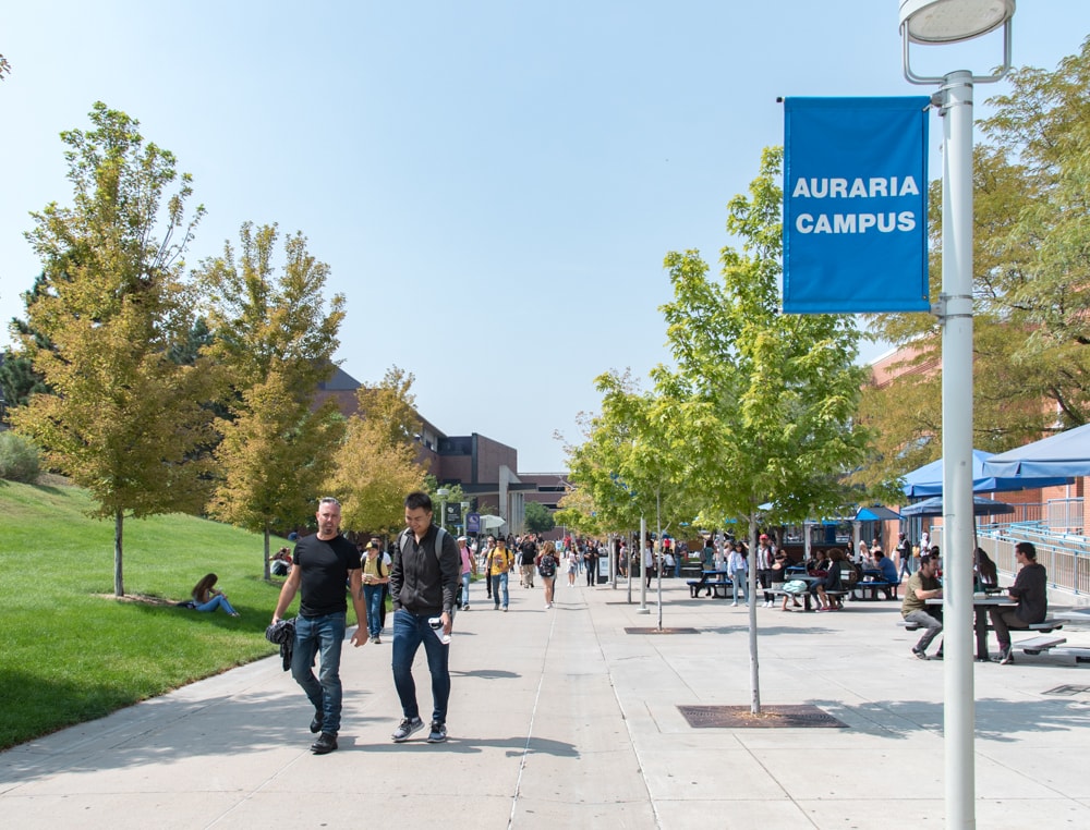 Campus Safety - Students walking around on campus