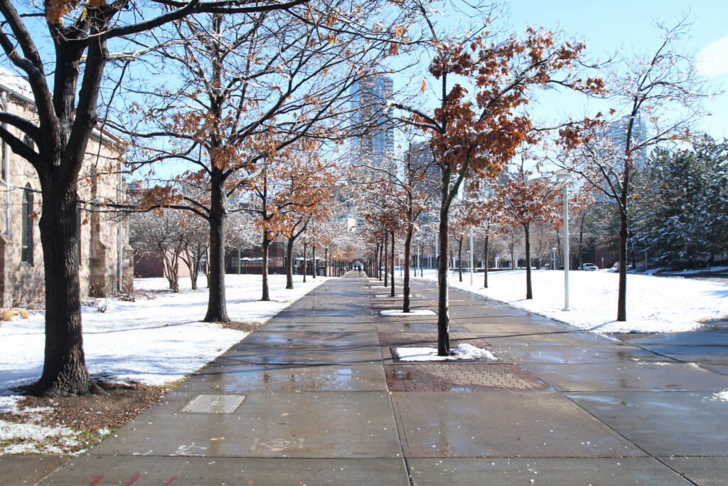 Facilities Services - Campus sidewalks in winter