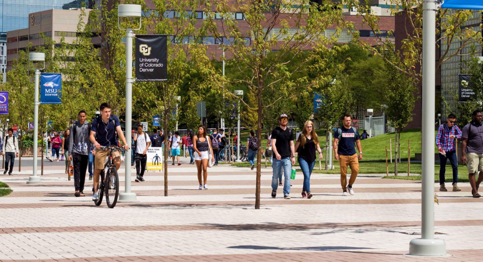 Numerous students shown walking around campus